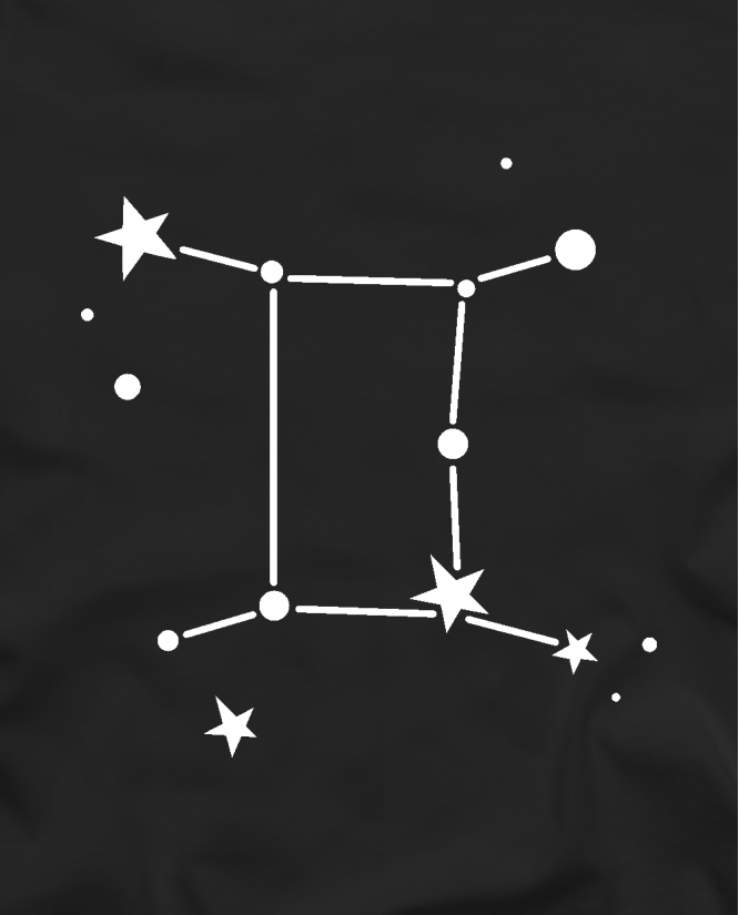 Zodiakas Dvyniai
